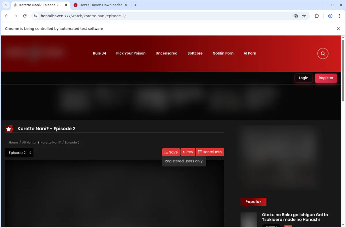 Hentaihaven Video Downloader browser extension screenshot 3