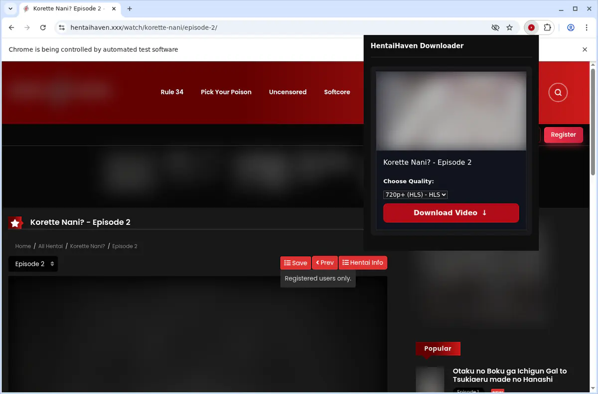 Hentaihaven Video Downloader browser extension screenshot 4